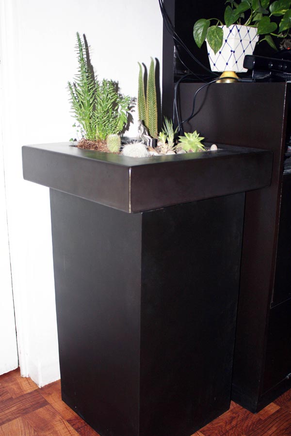 Mesa con plantas